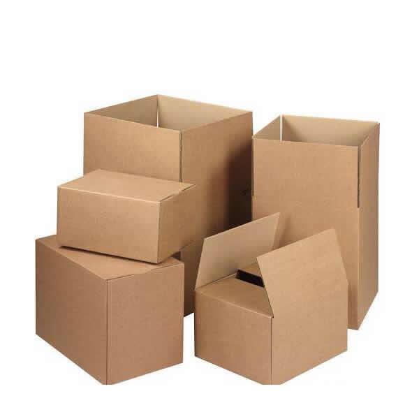 cardboard carton